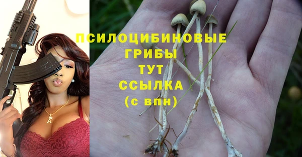 a pvp Алексин