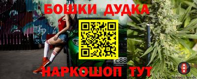 прущие грибы Ачхой-Мартан