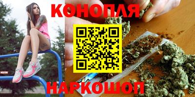 прущие грибы Ачхой-Мартан