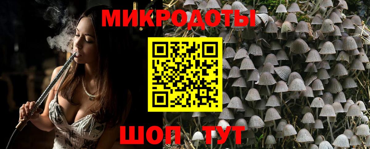 Галлюциногенные грибы Psilocybe Кинешма