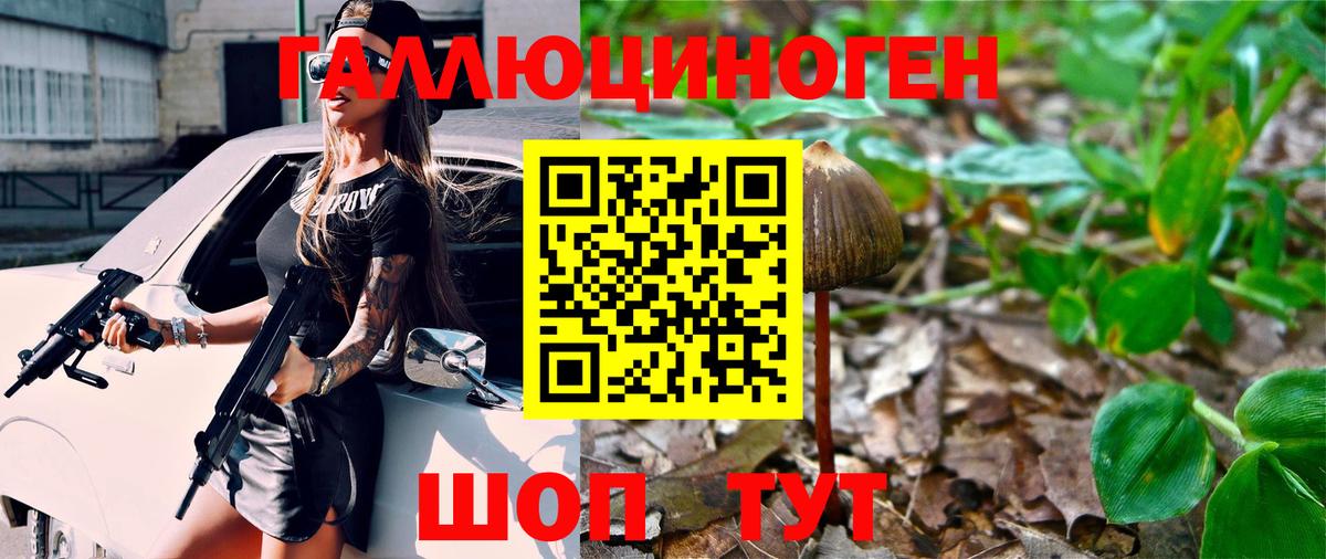 Галлюциногенные грибы GOLDEN TEACHER  Галлюциногенные грибы Cubensis  Кинешма  Вход с VPN 